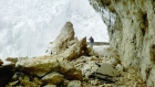 -0801skalaa.jpg