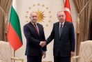 Радев и Ердоган обсъдиха сигурността в Черно море-Radev-i-Erdogan-obsadiha-sigurnostta-v-Cherno-more_1792600739.jpg