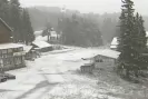 Сняг натрупа на хижа Алеко, вали и в Пампорово-Snyag-natrupa-na-hizha-Aleko--vali-i-v-Pamporovo_1791959907.jpg