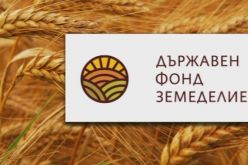 Държавен фонд "Земеделие"-Darzhaven-fond--Zemedelie-_1762362936.jpg