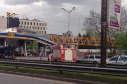 Снимка: БГНЕС-1460653025.jpg