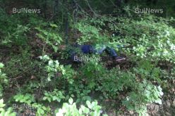 Снимка: BulNews-1462549345.jpg